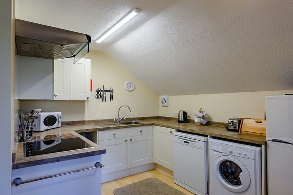 Chestnut - Bulworthy Forest Lodges, Webbery, Bideford