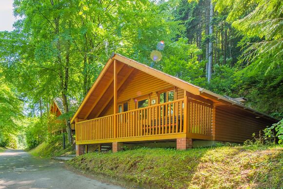 Fisher&rsquo;s Wood - Bulworthy Forest Lodges, Webbery, Bideford
