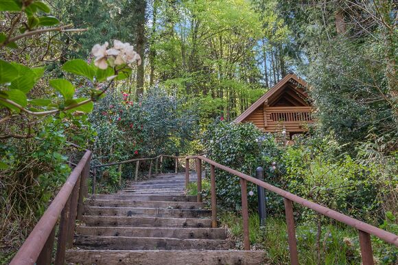 Woodpecker - Bulworthy Forest Lodges, Webbery, Bideford