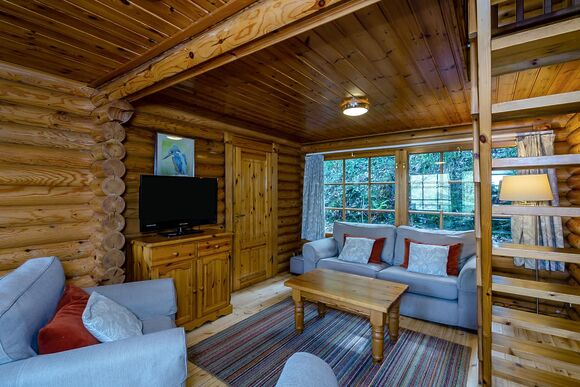 Kingfisher - Bulworthy Forest Lodges, Webbery, Bideford