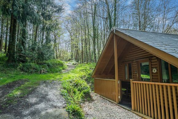Honeysuckle - Bulworthy Forest Lodges, Webbery, Bideford