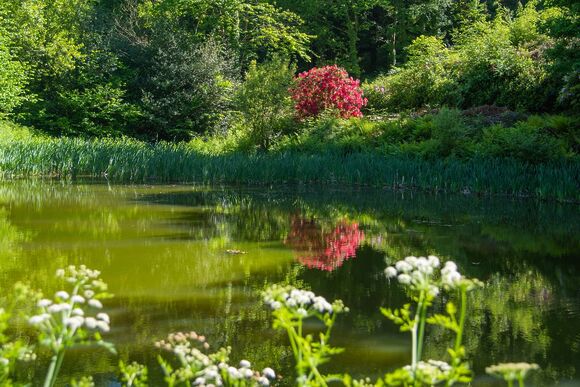 Hunter&rsquo;s Lodge - Bulworthy Forest Lodges, Webbery, Bideford