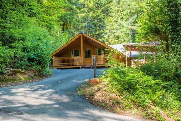 Oakapple - Bulworthy Forest Lodges, Webbery, Bideford