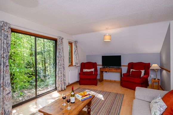 Oakapple - Bulworthy Forest Lodges, Webbery, Bideford