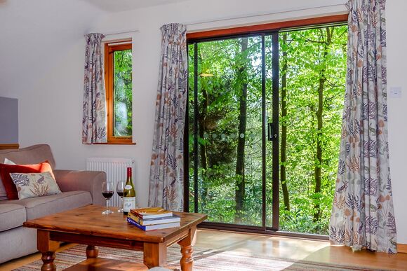 Oakapple - Bulworthy Forest Lodges, Webbery, Bideford