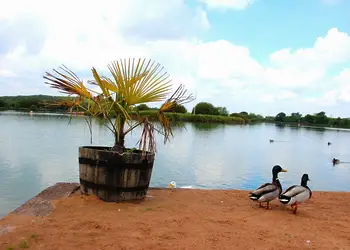 Bosworth Lakeside Lodges, Market Bosworth, near Nuneaton