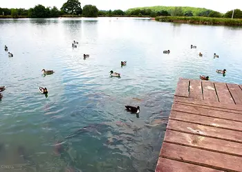 Bosworth Lakeside Lodges, Market Bosworth, near Nuneaton