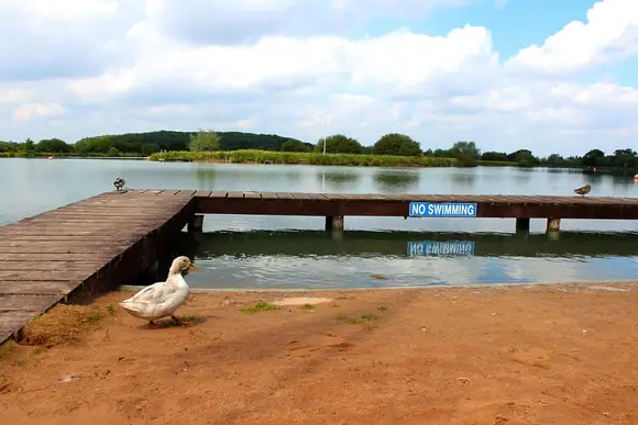Bosworth Lakeside Lodges, Market Bosworth, near Nuneaton