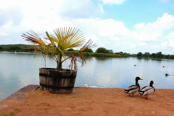 Bosworth Lakeside Lodges, Market Bosworth, near Nuneaton