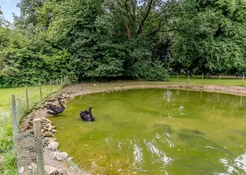Calthwaite Hall Lodges, Calthwaite, Nr Penrith