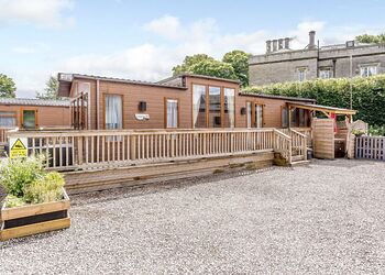 Dexter - Calthwaite Hall Lodges, Calthwaite, Nr Penrith