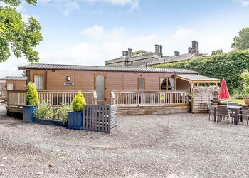 Dexter - Calthwaite Hall Lodges, Calthwaite, Nr Penrith