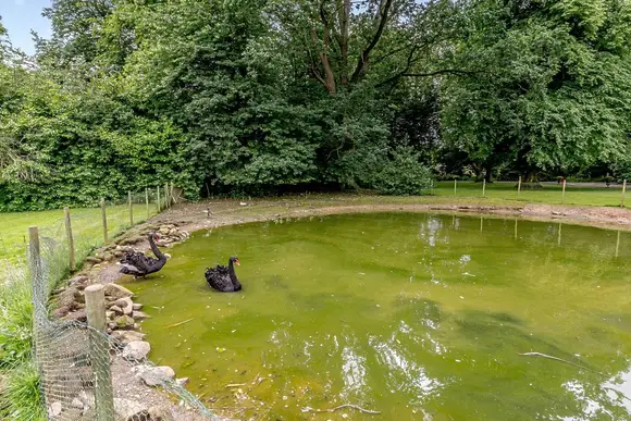 Calthwaite Hall Lodges, Calthwaite, Nr Penrith