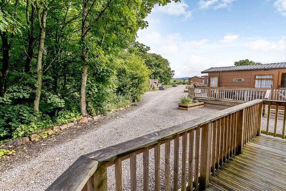 Dexter - Calthwaite Hall Lodges, Calthwaite, Nr Penrith