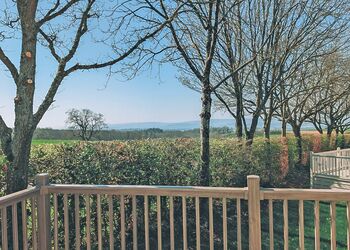 Bluebird Lodge - Castle Brake Holiday Park, Woodbury