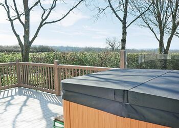 Bluebird Lodge - Castle Brake Holiday Park, Woodbury