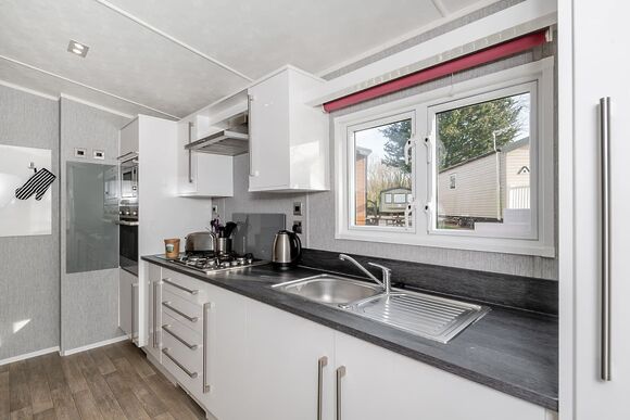 Bronze Willow 2 - Castle Brake Holiday Park, Woodbury