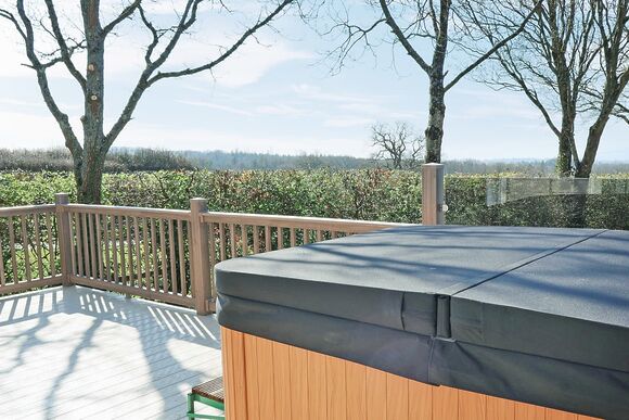 Bluebird Lodge - Castle Brake Holiday Park, Woodbury