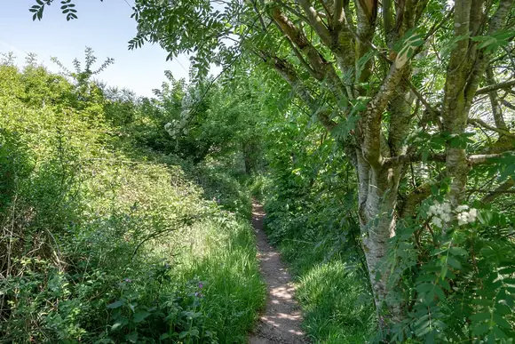 Coldstream Holiday Park, Coldstream