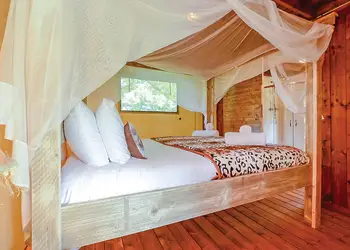 Foxglove Safari Tent - Celtic Escapes, Narberth