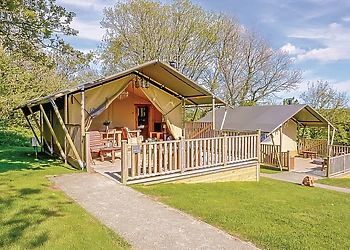 Orchid Safari Tent 