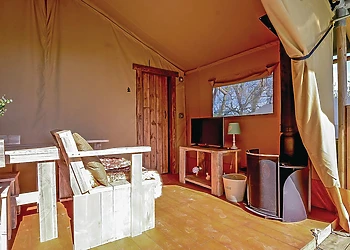 Orchid Safari Tent