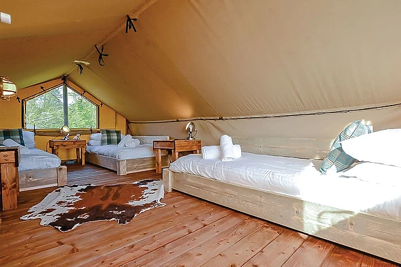 Cowslip Safari Tent 