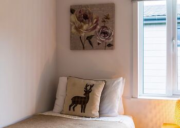 Sycamore - Croft Farm Water Park, Tewkesbury