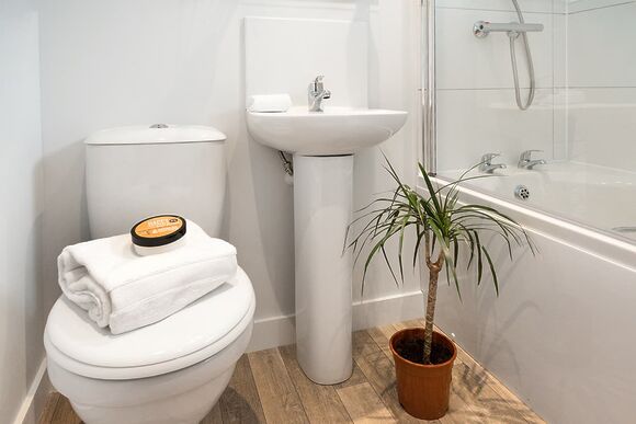 Sycamore - Croft Farm Water Park, Tewkesbury