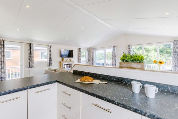 Prestige Lodge. Parking, ensuite, deck, sea view P - Challaborough Bay, Nr Bigbury-on-Sea