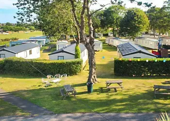 Cheverton Copse photo 2