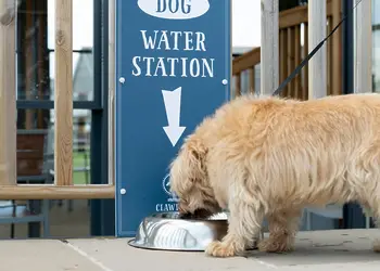 Clawford Lakes Resort and Spa, Clawton, Nr Holsworthy