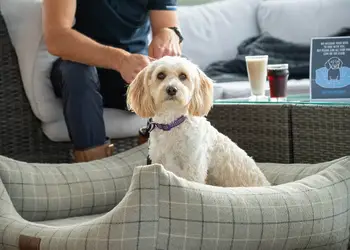 Clawford Lakes Resort and Spa, Clawton, Nr Holsworthy