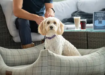 Clawford Lakes Resort and Spa, Clawton, Nr Holsworthy