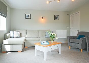 Lake Ground Floor Apartment Hot tub - Clawford Lakes Resort and Spa, Clawton, Nr Holsworthy