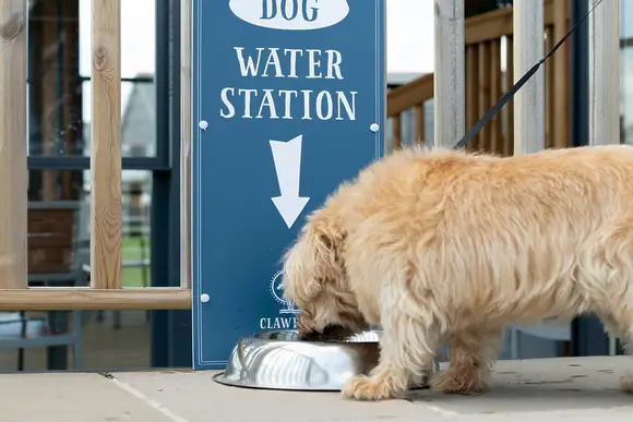 Clawford Lakes Resort and Spa, Clawton, Nr Holsworthy