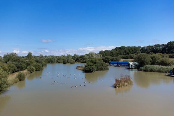 Floating Lodge - Clawford Lakes Resort and Spa, Clawton, Nr Holsworthy