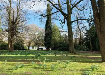 Attractive parkland