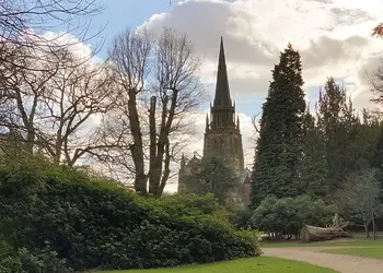 Attractive parkland