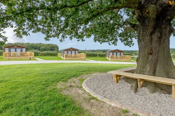 Clumber Park, Sherwood Forest, Worksop