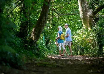 Combe Martin Beach, Combe Martin