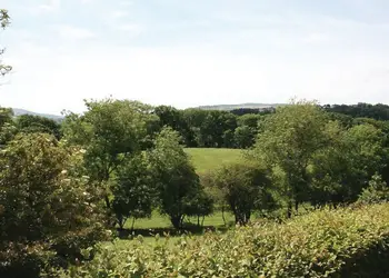 View from Valley View Caravan