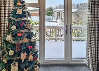 Oak Christmas tree to snowy external