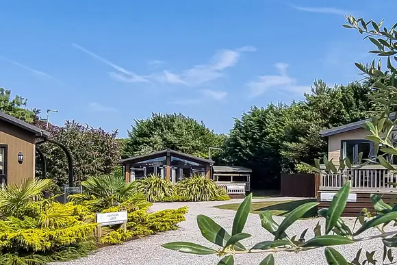 Hawthorn to Birch front with Sunshine 
