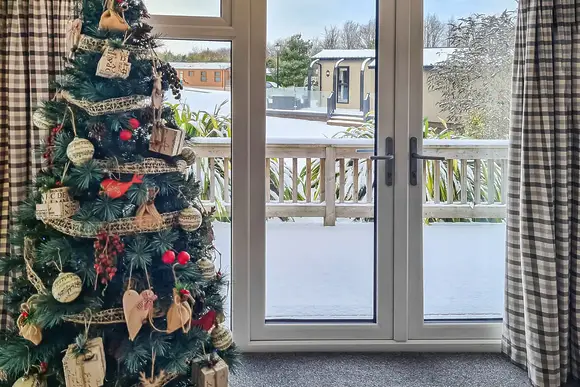 Oak Christmas tree to snowy external 