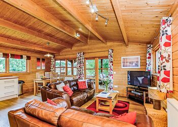 Typical Bulrush Watersedge (Pet) 