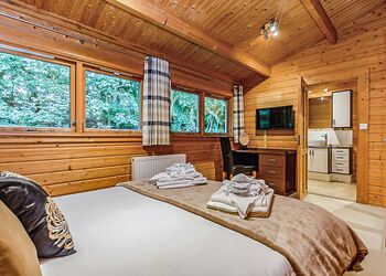 Typical Bulrush Lakeview (Pet) 