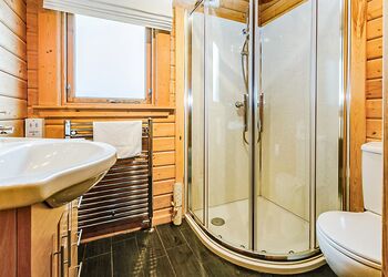 Typical Bulrush Lakeview (Pet) 