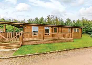 Typical Water Reed Lakeview (Pet) 