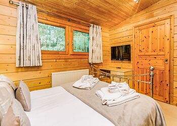 Typical Water Reed Lakeview (Pet) 